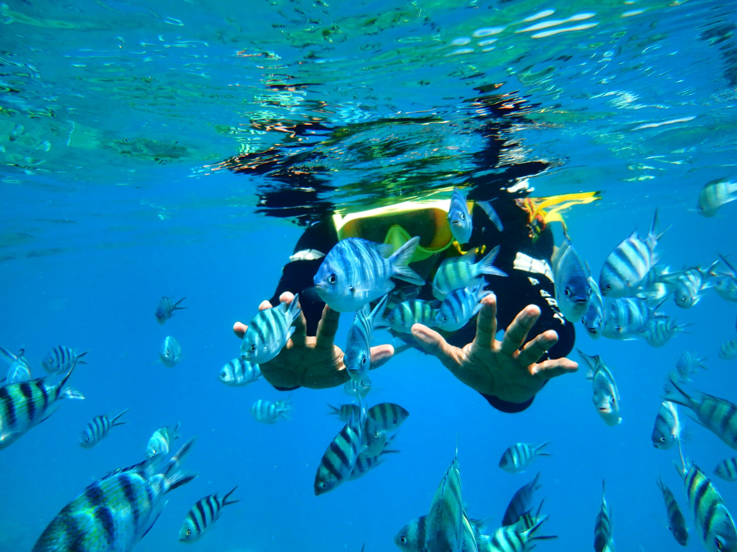 Snorkeling